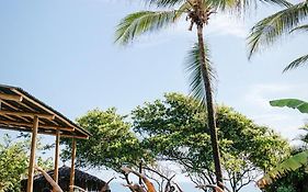 Casa Vidasurf